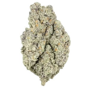 Fudge Truffle Pie Strain