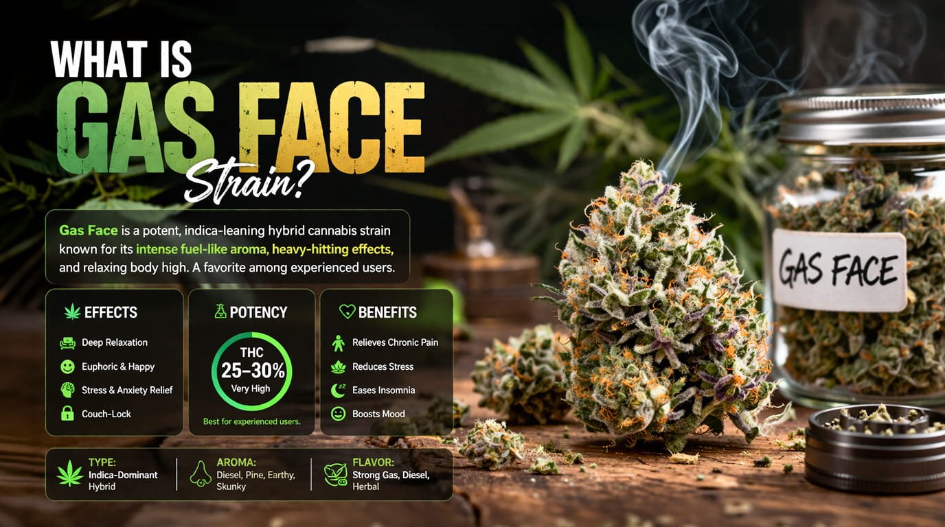 What Is Gas Face Weed Strain