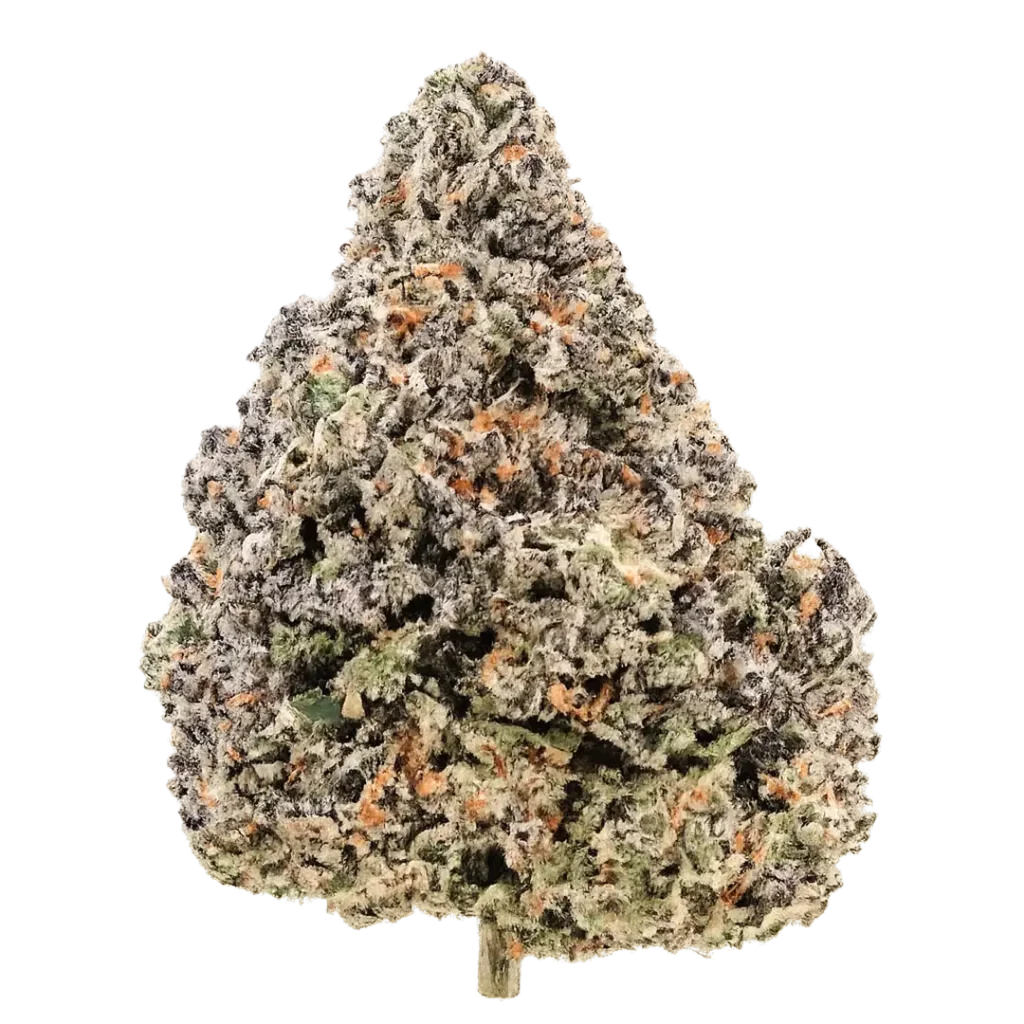 Black Runtz Weed Strain