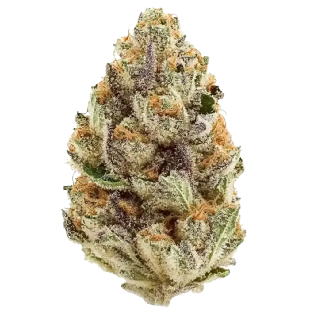 Blue Sushi Weed Strain