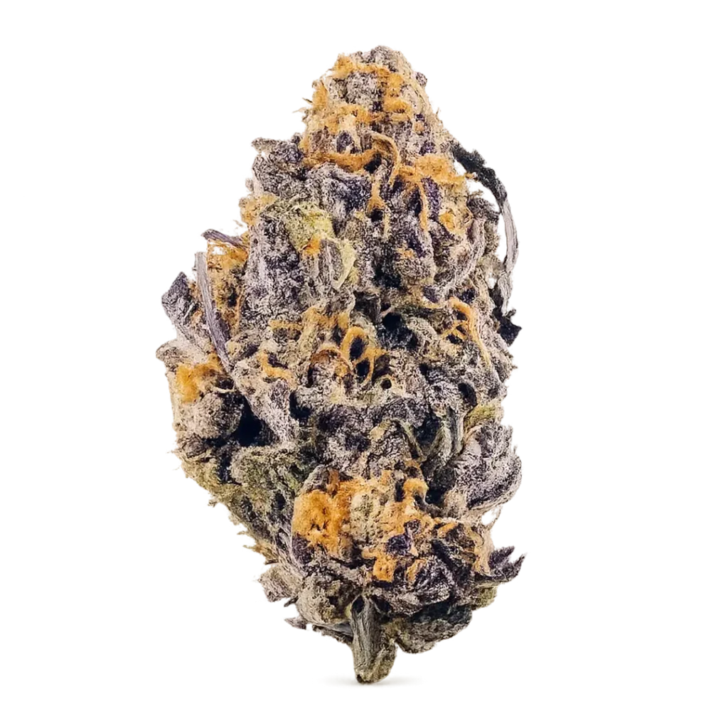 Blue Velvet Strain