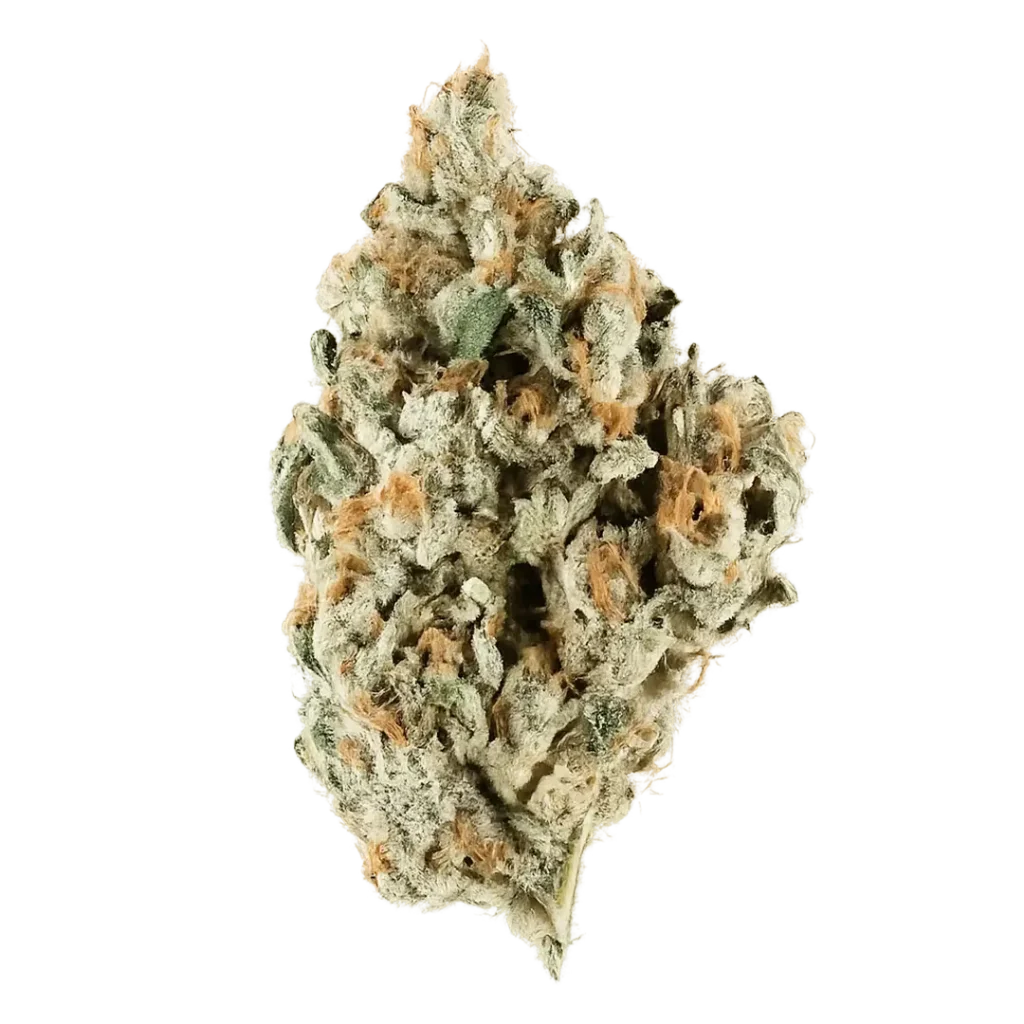 Bon Bons Weed Strain