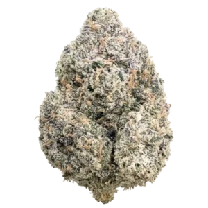 Cherry Vanilla THCa Flower