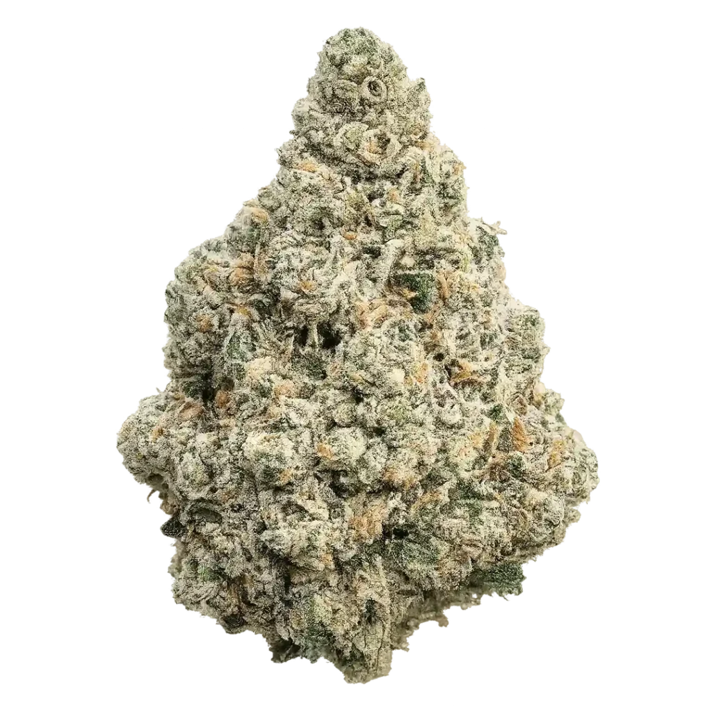 Gazoo Racing Weed Strain