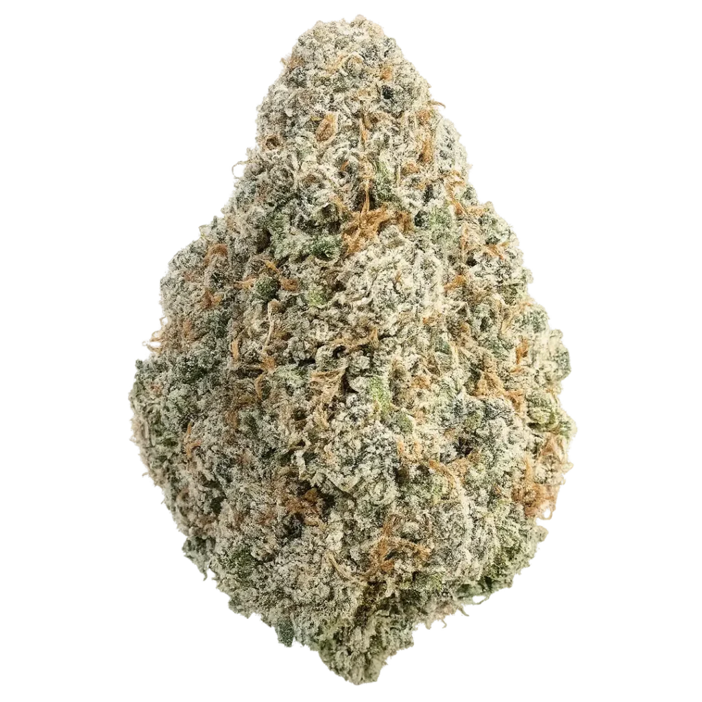 Lemon Drop Weed Strain