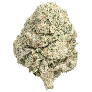 Papaya Punch THCa Flower