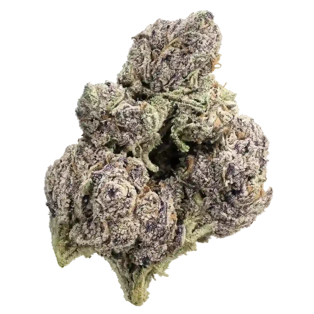 Purple Punch Strain