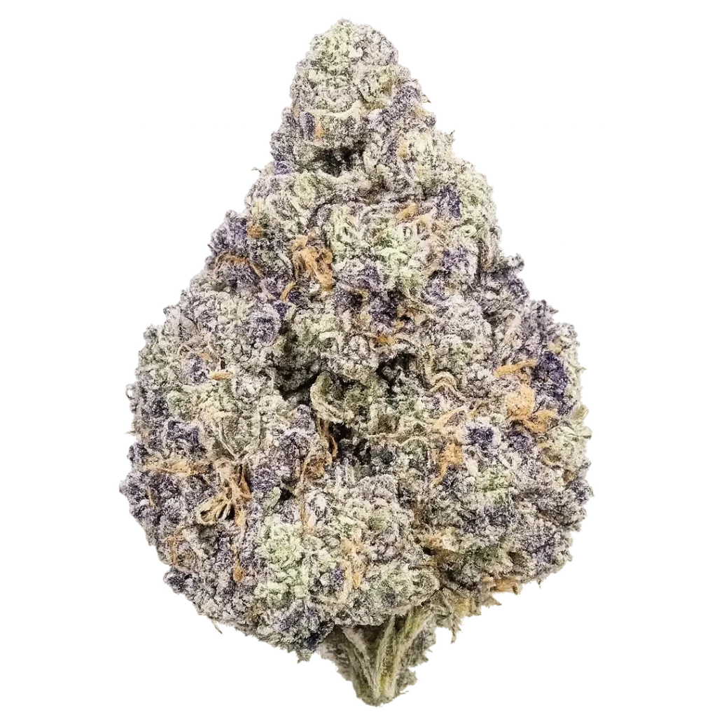 Rainbow Zangria Weed Strain