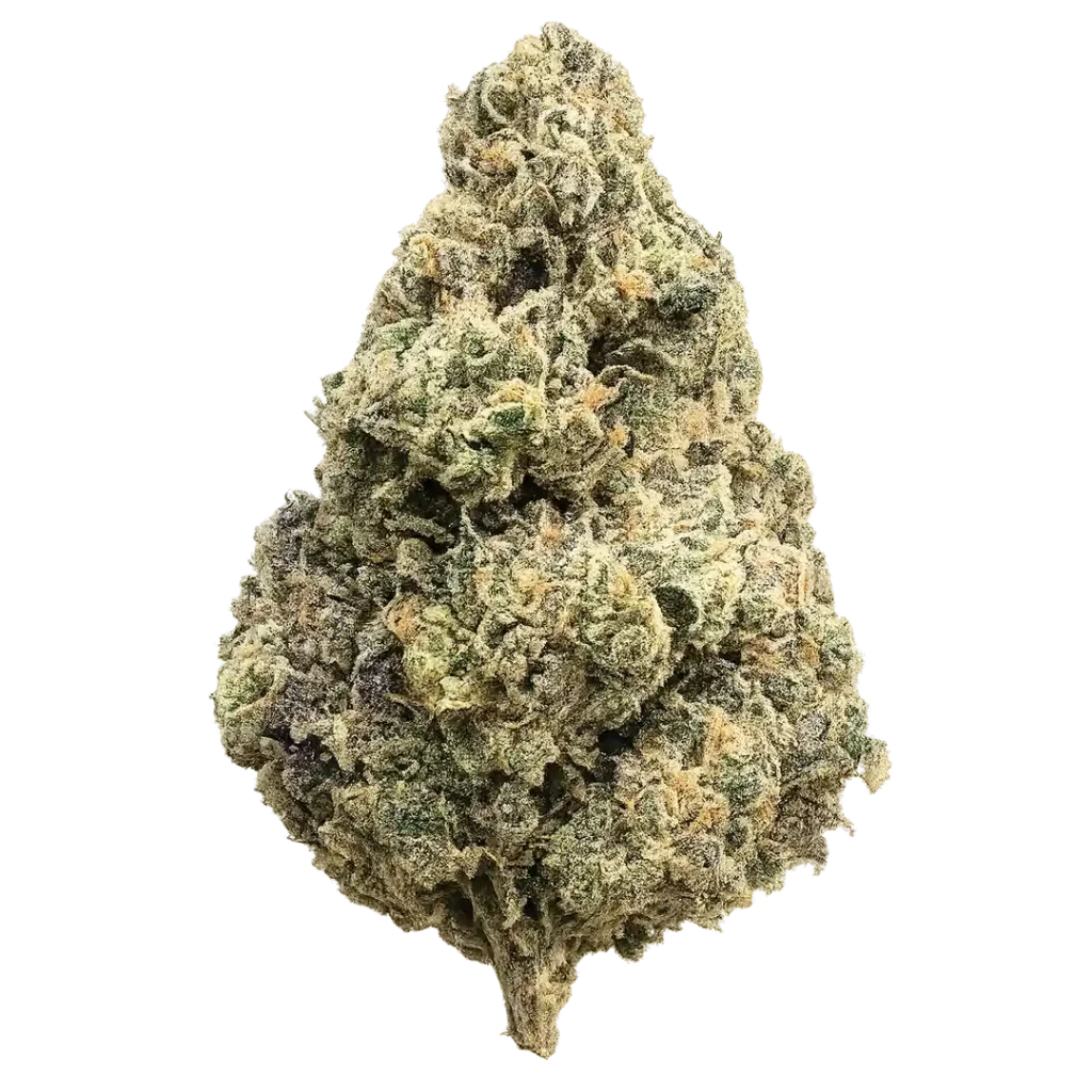 Sherb × LCZ THCa Flower