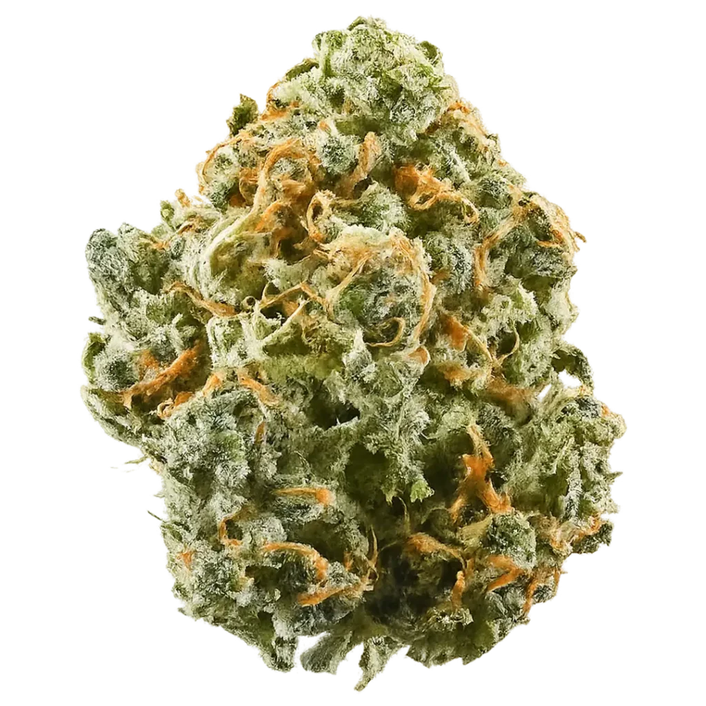 Supernova Pulse Weed Strain