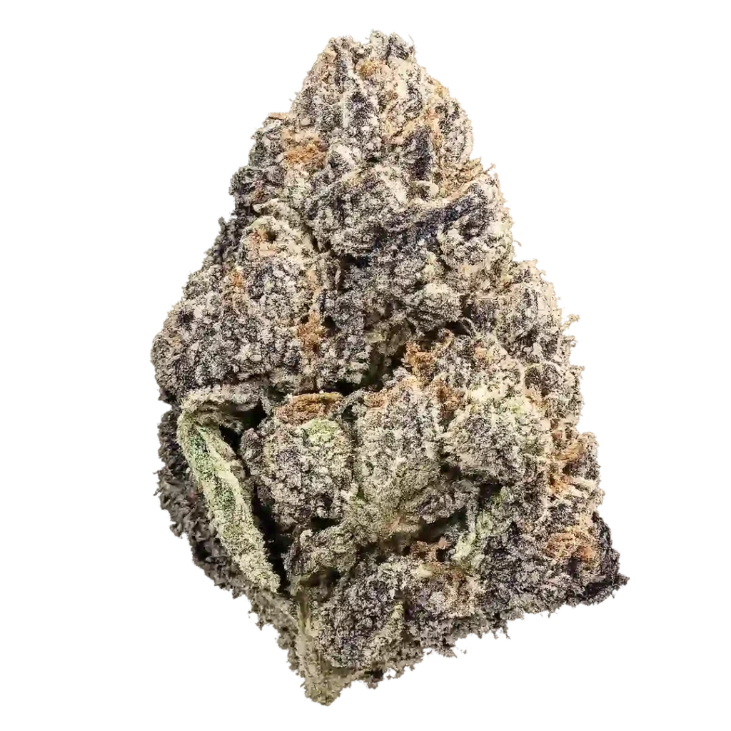 Wizard of Oz Weed Strain