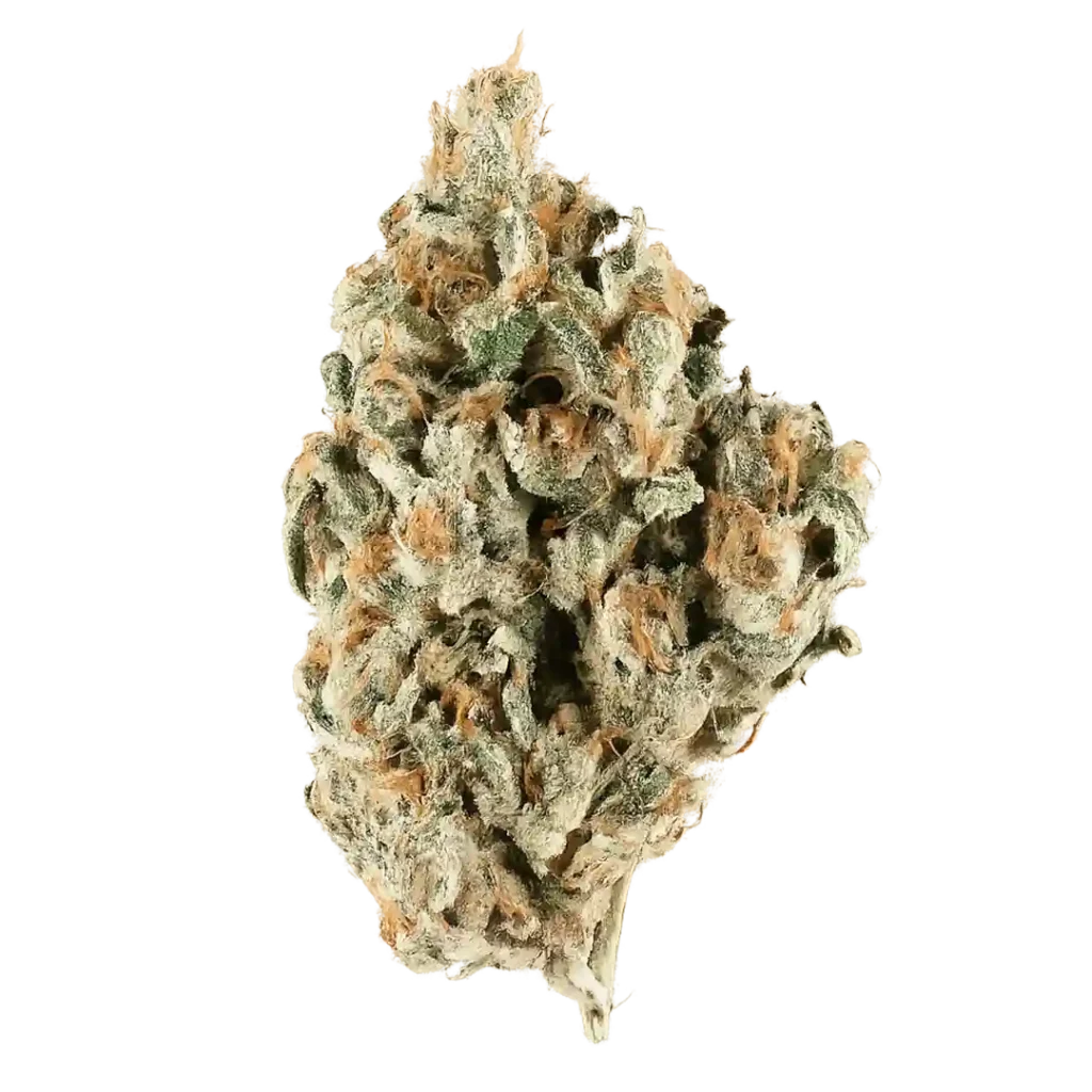 Frosted Donut Weed Strain