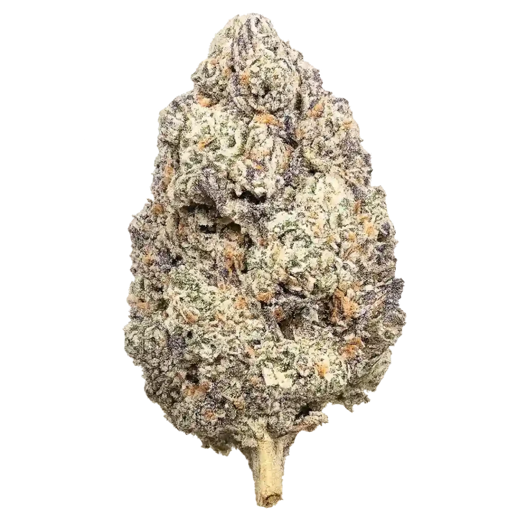 Glolato Weed Strain