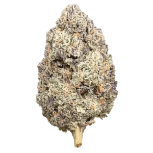 Glolato THCa Flower