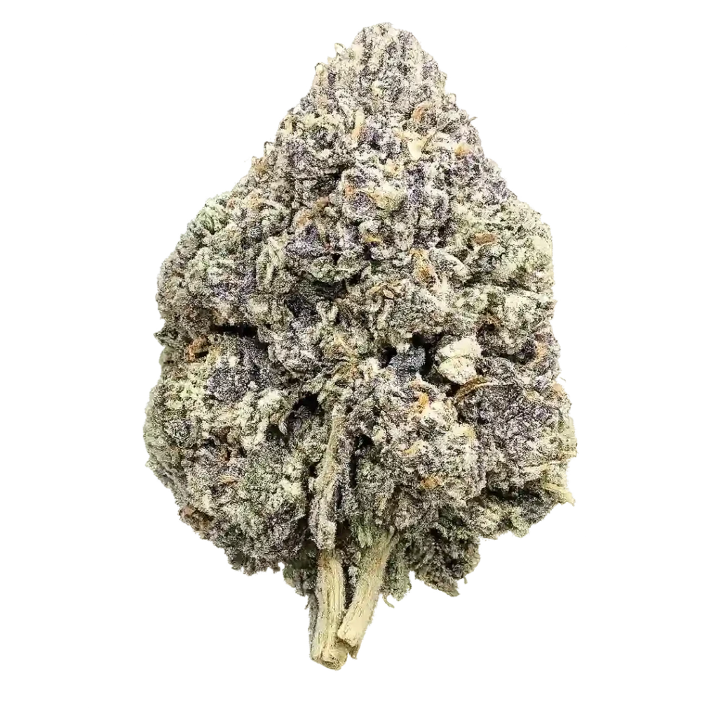 Golden Ticket Weed Flower