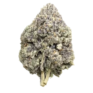 Golden Ticket THCa Flower