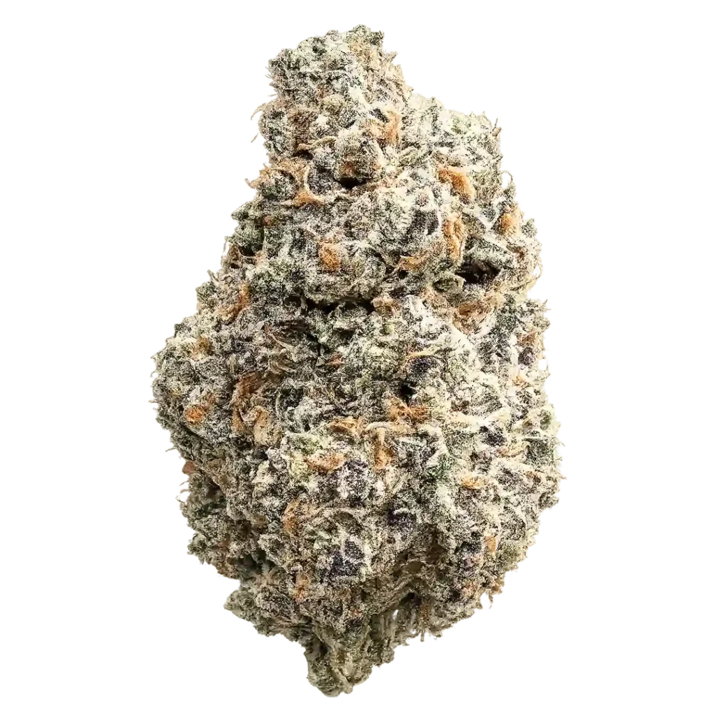 Nightwalker Weed Flower
