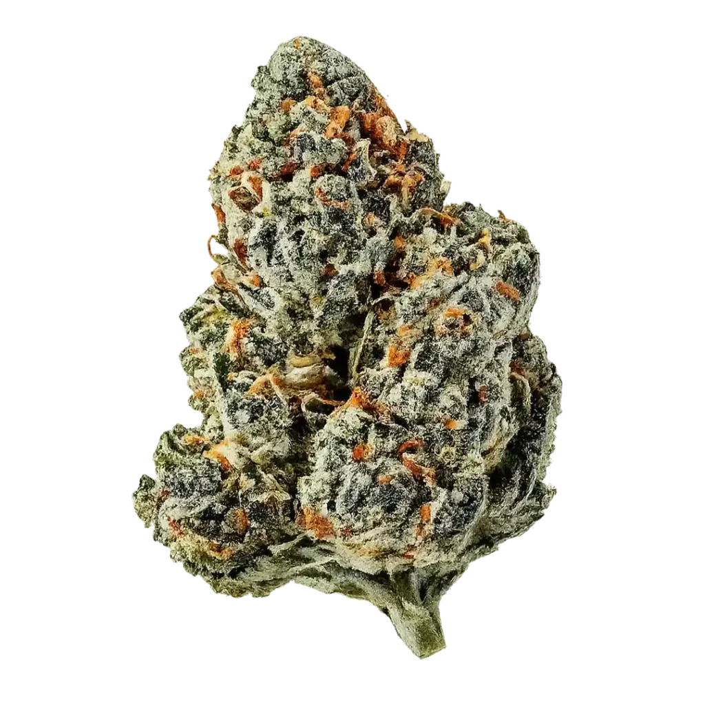 Noho Gelato - Thca flower