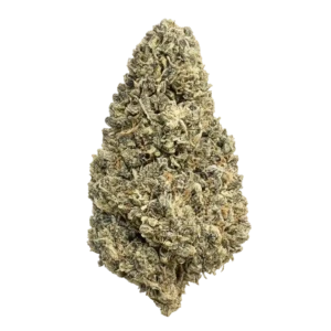 Purple Punch THCa Flower