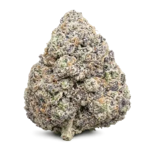 Super Berries THCa Flower