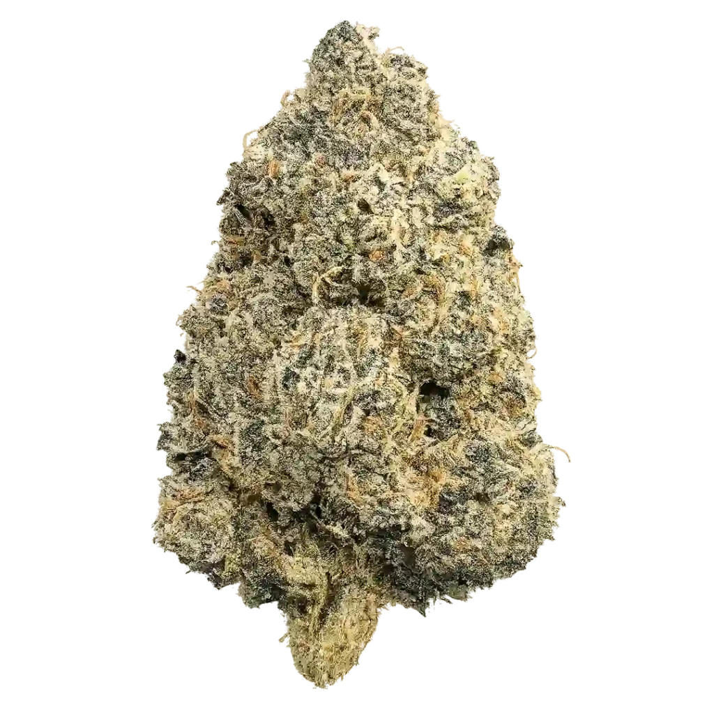 Trop Mimosa Weed Strain