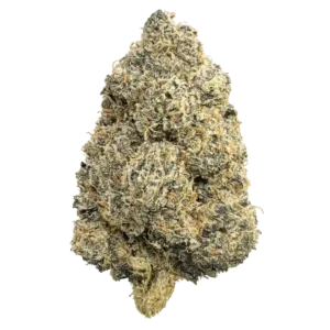 Trop Mimosa THCa Flower