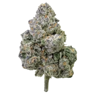 Crusher Claw THCa Flower