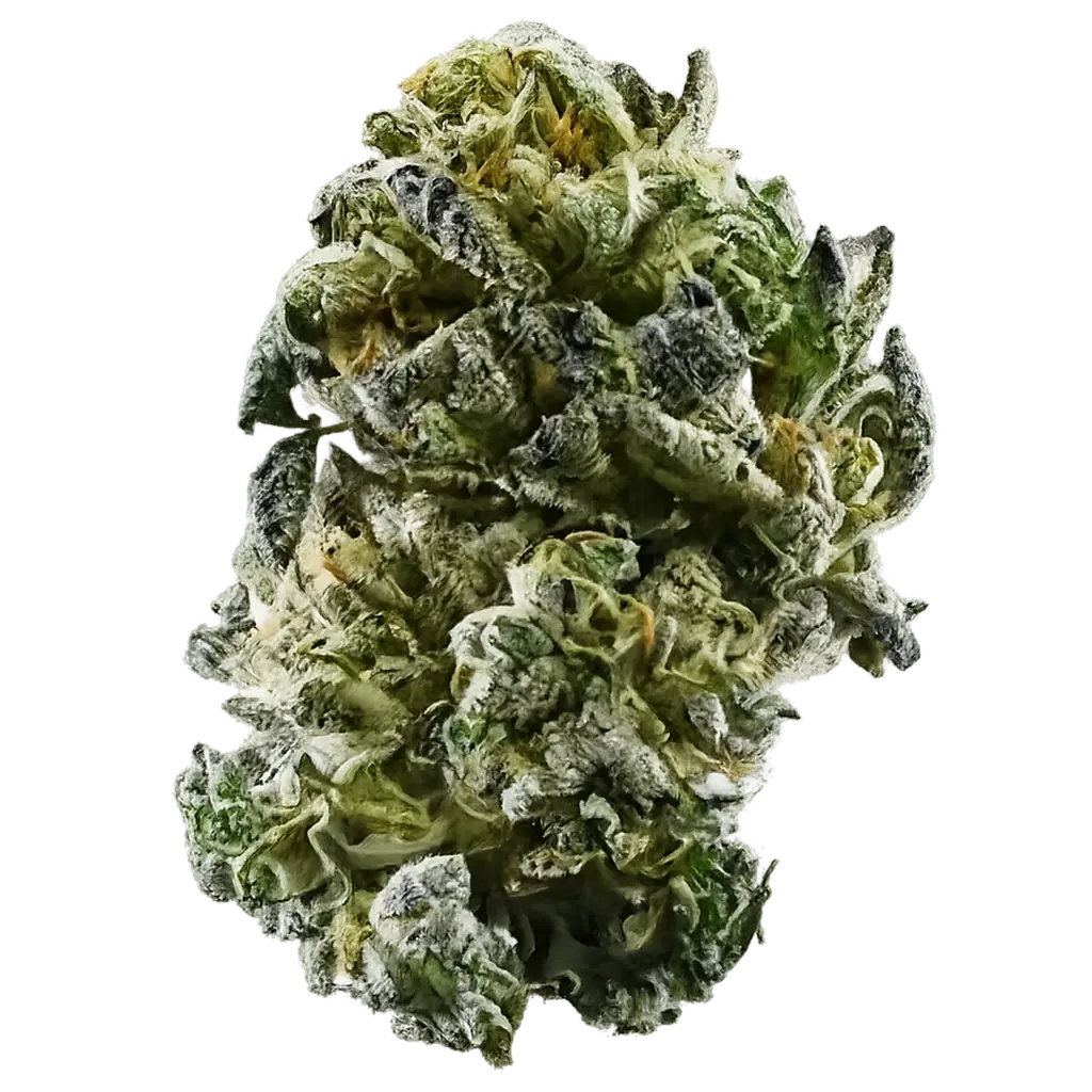 Deep Ztate strain with frosty purple-green buds, sweet candy aroma, fruity Z-terps, and dense trichome coverage.