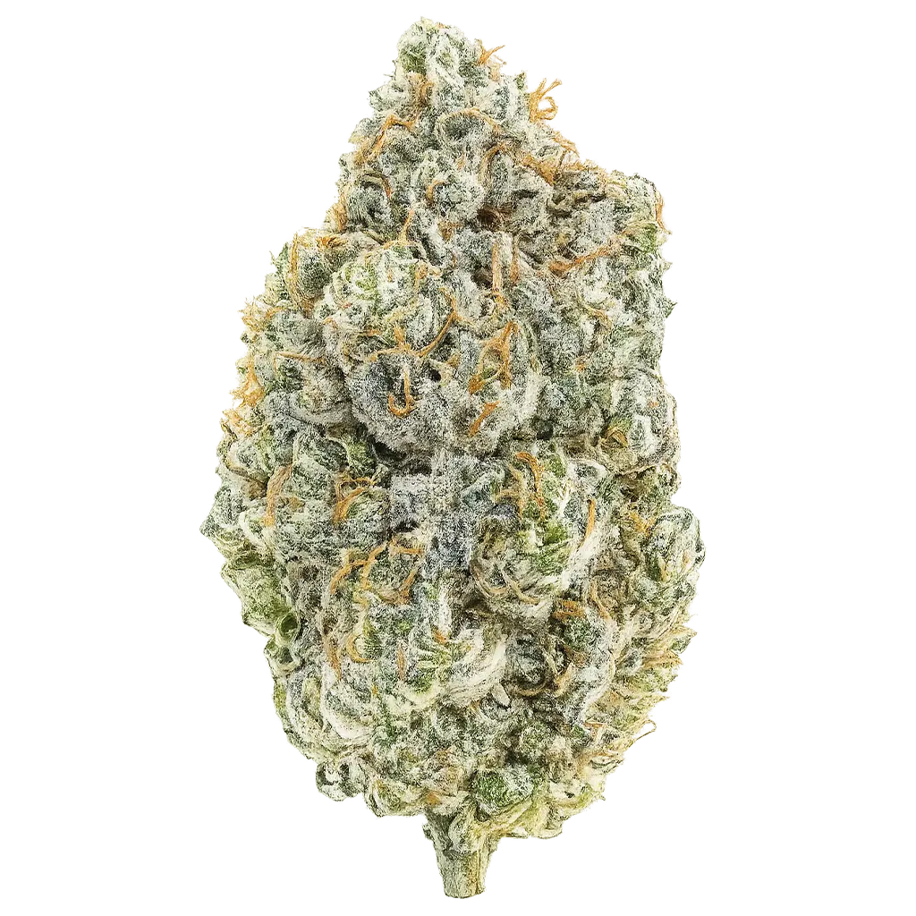 LCG MXN strain with frosty purple-green buds, sweet lemon cherry aroma, creamy Gelato terps, and dense trichome coverage.