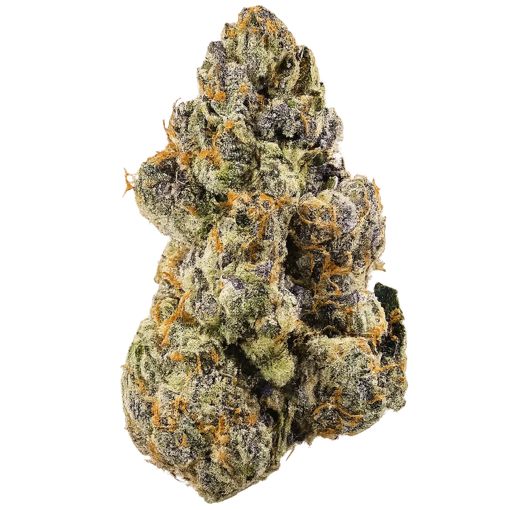 MOB strain with frosty purple-green buds, sweet candy aroma, gassy undertones, and dense trichome coverage.