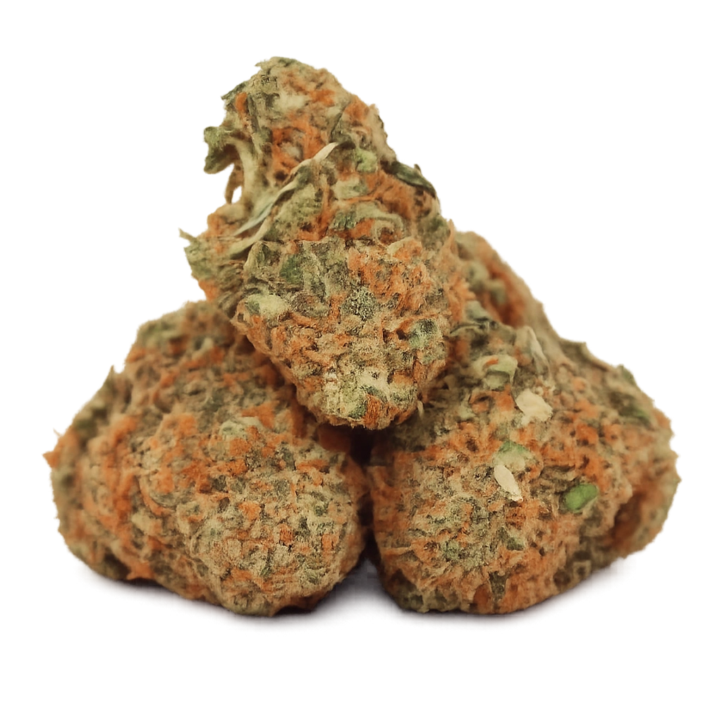 Motor Breath strain with frosty dark buds, pungent diesel aroma, earthy kush flavor, and dense trichome coverage.