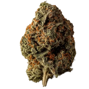 Orange Crush THCa Flower