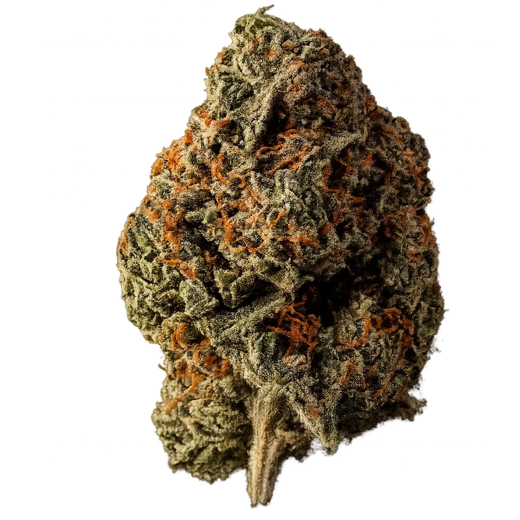 Orange Crush Weed Strain
