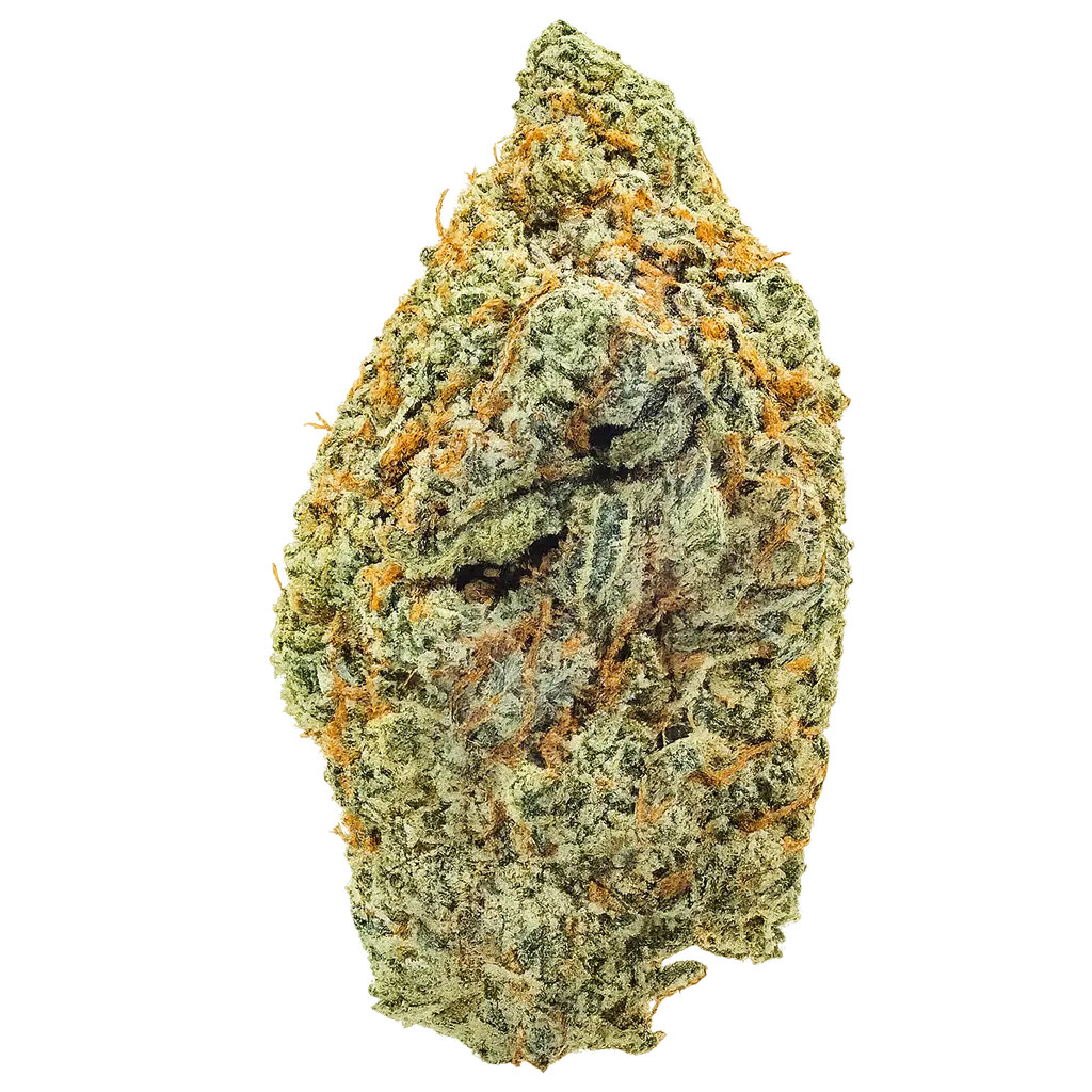 Pinyatti strain with frosty colorful buds, tropical candy aroma, creamy fruit terps, and dense trichome coverage.