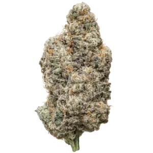 White Gummies THCa Flower