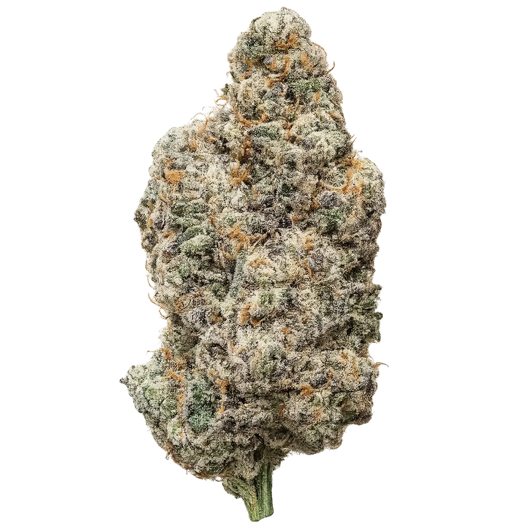 White Gummies strain with frosty white-coated buds, sweet candy aroma, creamy dessert notes, and dense trichome coverage.