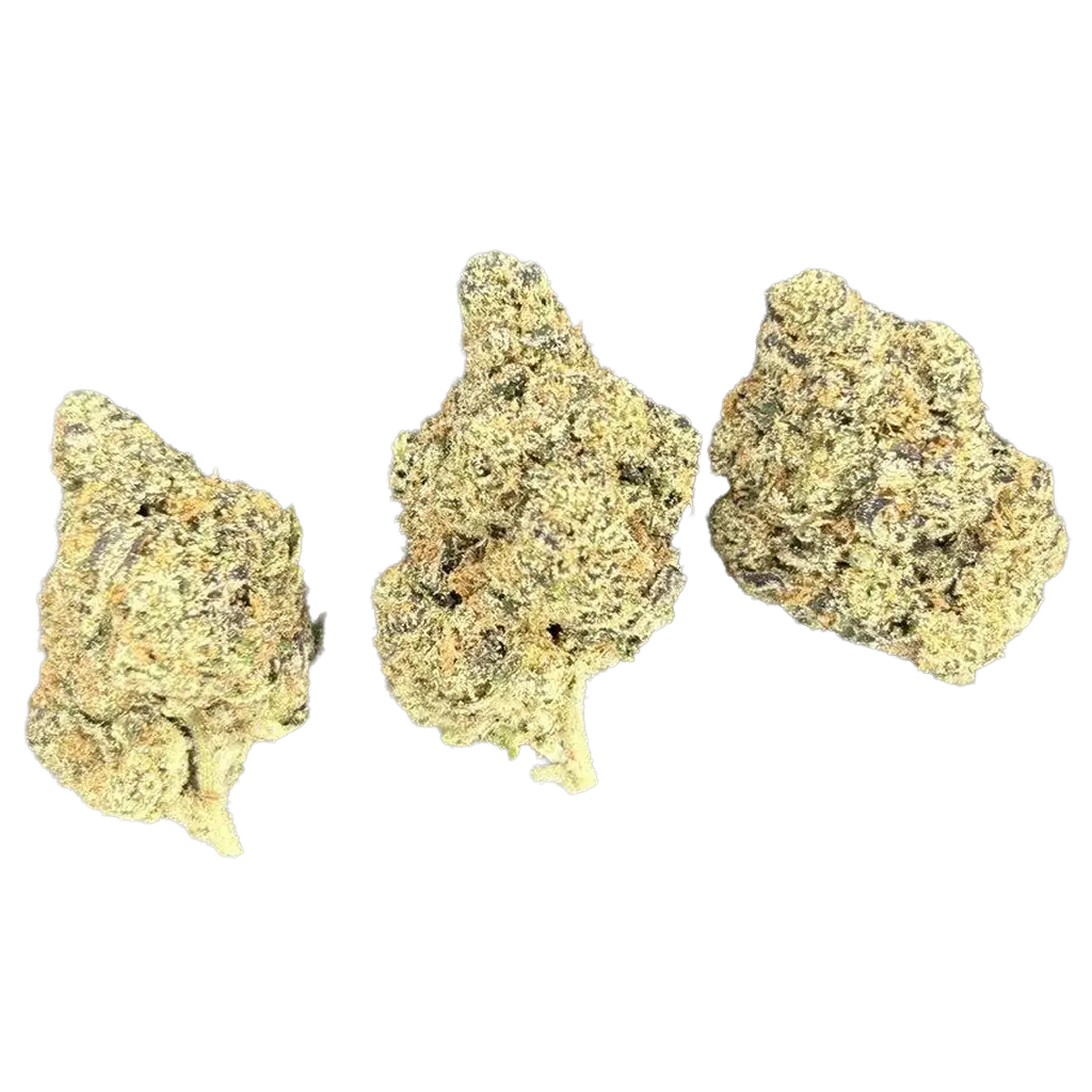 Apple & Bananas THCa Flower featuring dense frosty green and purple buds with crisp apple aroma, sweet banana terpenes, creamy gas notes, and heavy trichome coverage.