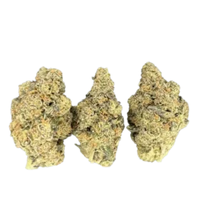 Apple Scotti THCa Flower