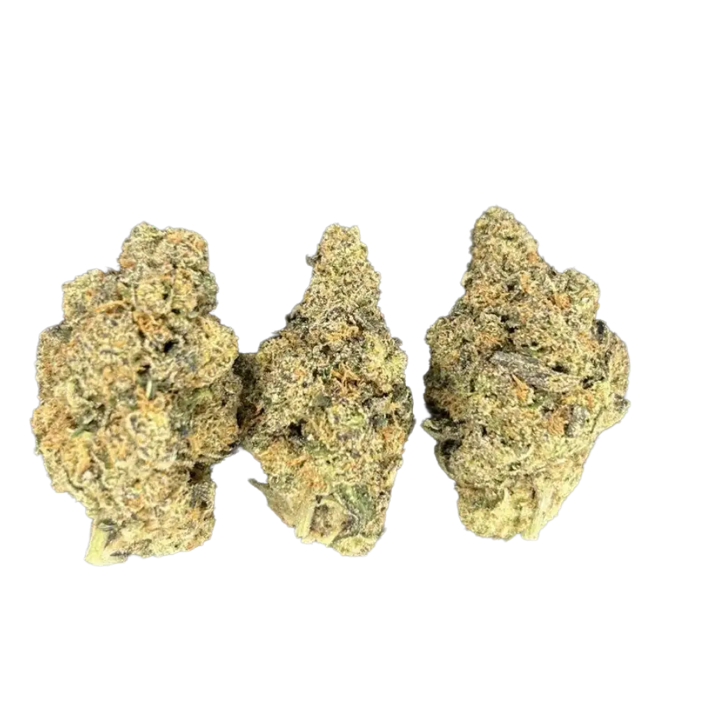 Apple Scotti THCa Flower featuring dense frosty green and purple buds with crisp apple aroma, creamy cookie terpenes, and heavy trichome coverage.