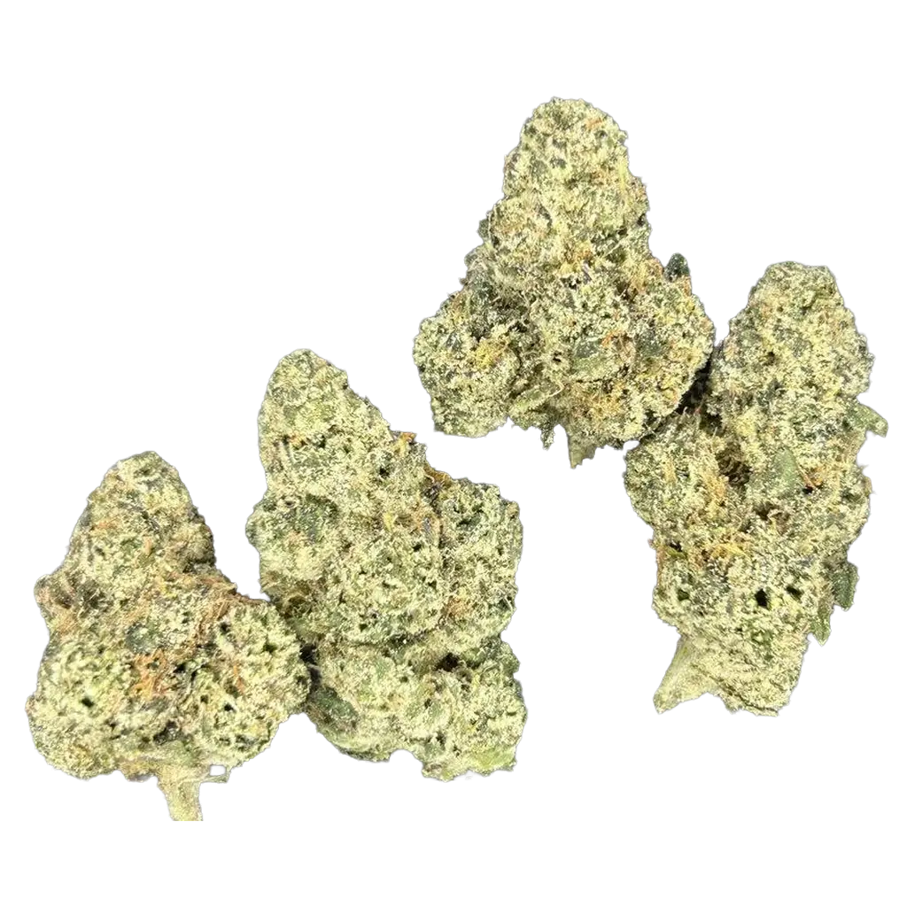 Candy LCG THCa Flower featuring dense frosty purple and green buds with sweet candy aroma, cherry citrus terpenes, creamy dessert notes, and heavy trichome coverage.