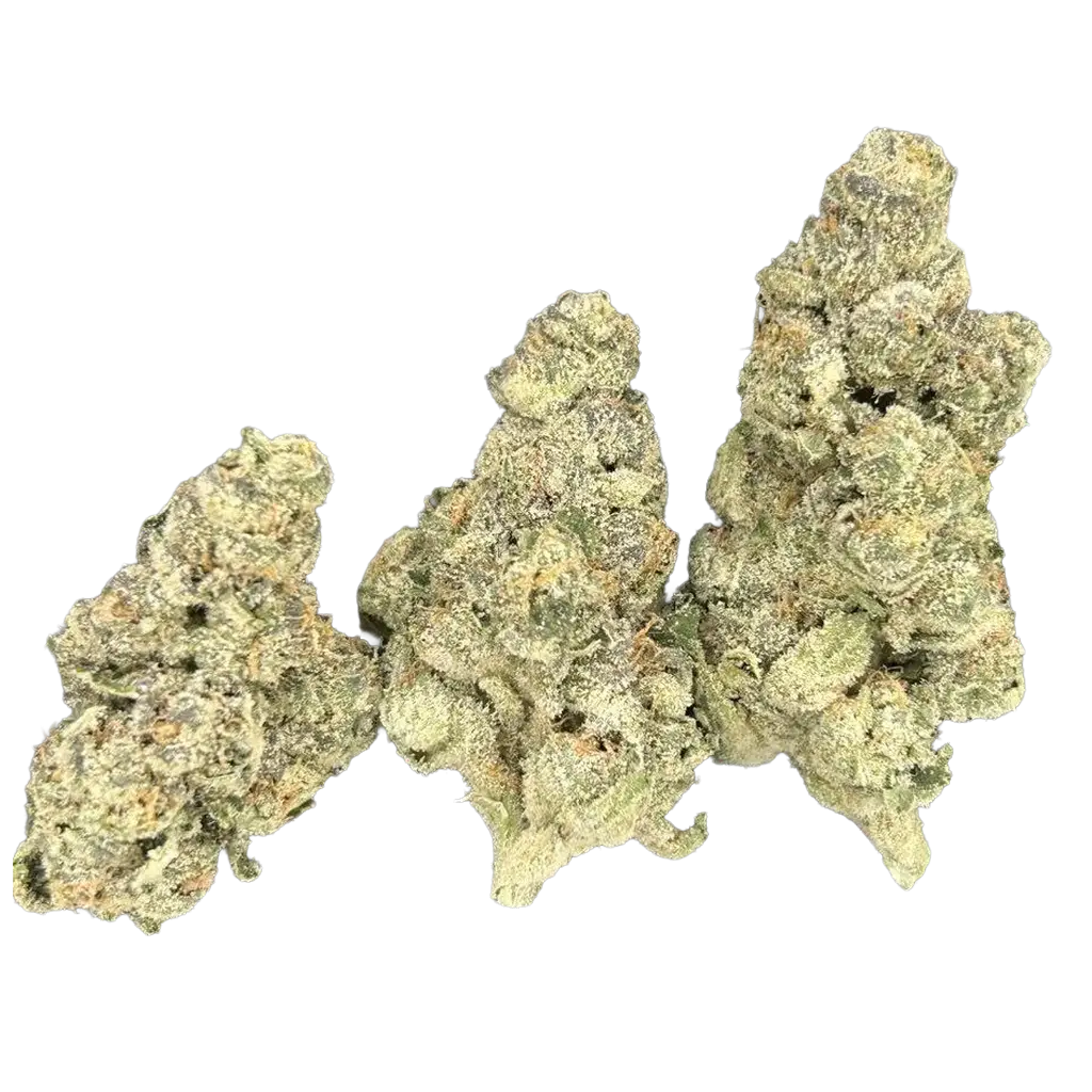 Cheetah Piss x Zushi THCa Flower featuring dense frosty purple and green buds with candy citrus aroma, creamy gas terpenes, and heavy trichome coverage.