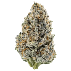 Cherry Gelato THCa Flower