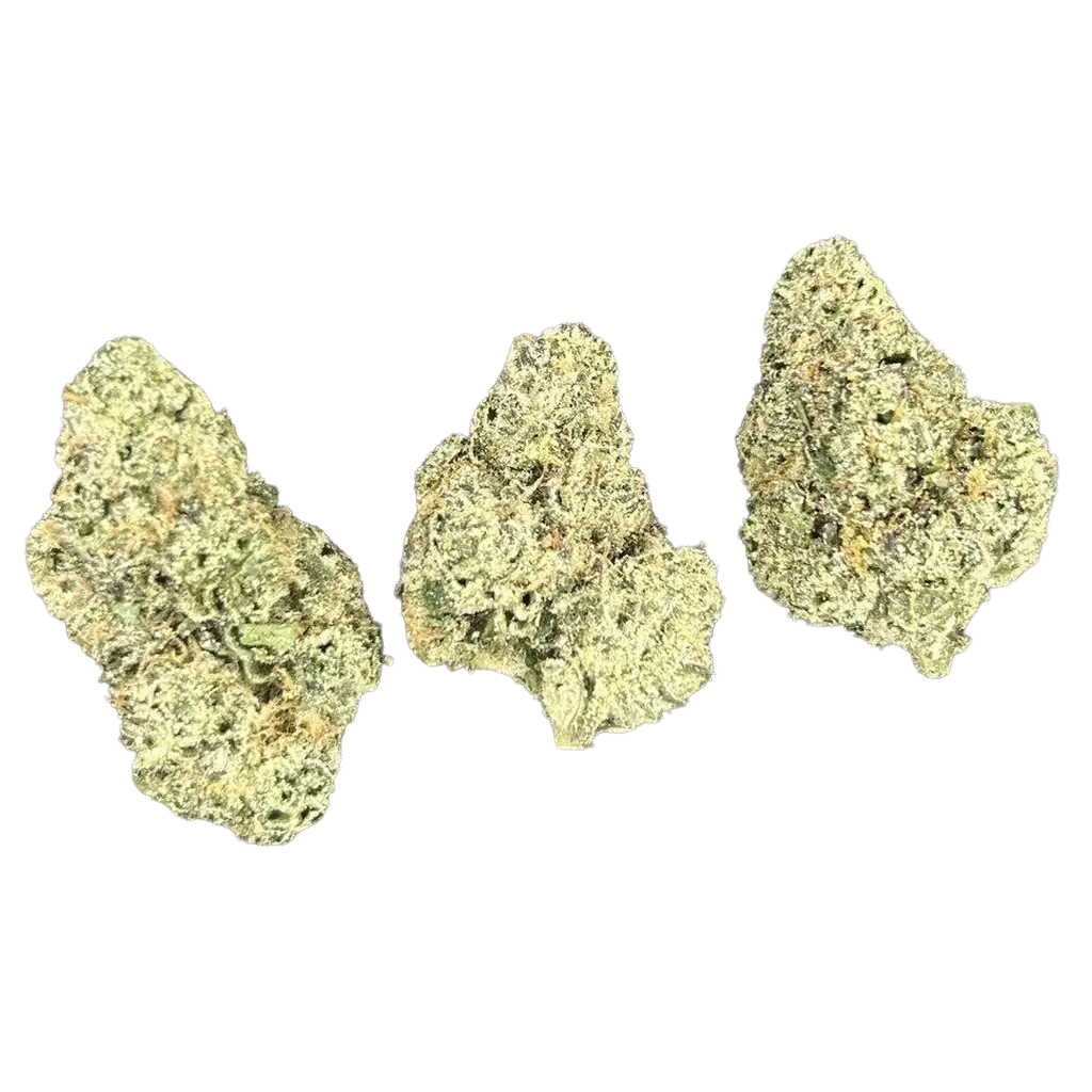 Gelato 41 THCa Flower featuring dense frosty green and purple buds with creamy dessert aroma, citrus gas terpenes, and heavy trichome coverage.