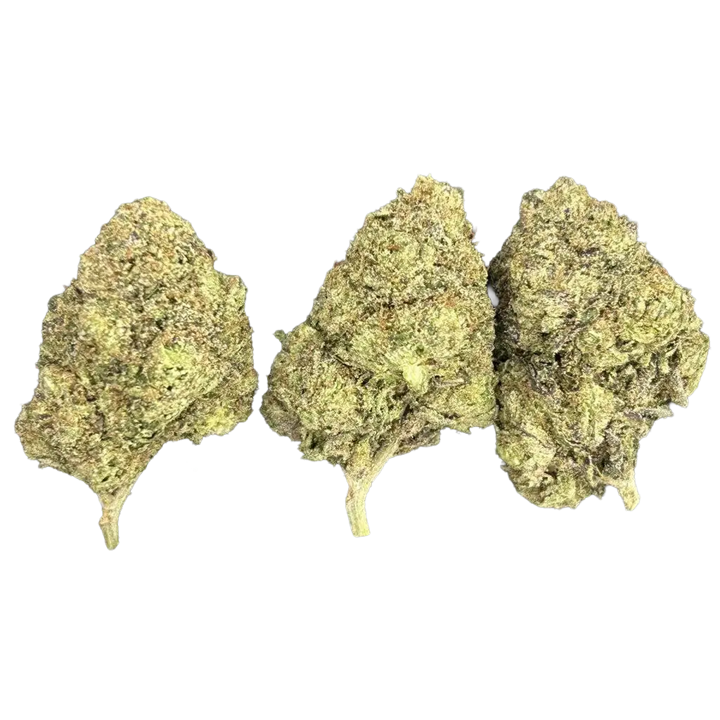 Grape God THCa Flower featuring dense frosty purple and green buds with sweet grape aroma, berry terpenes, earthy gas notes, and heavy trichome coverage.