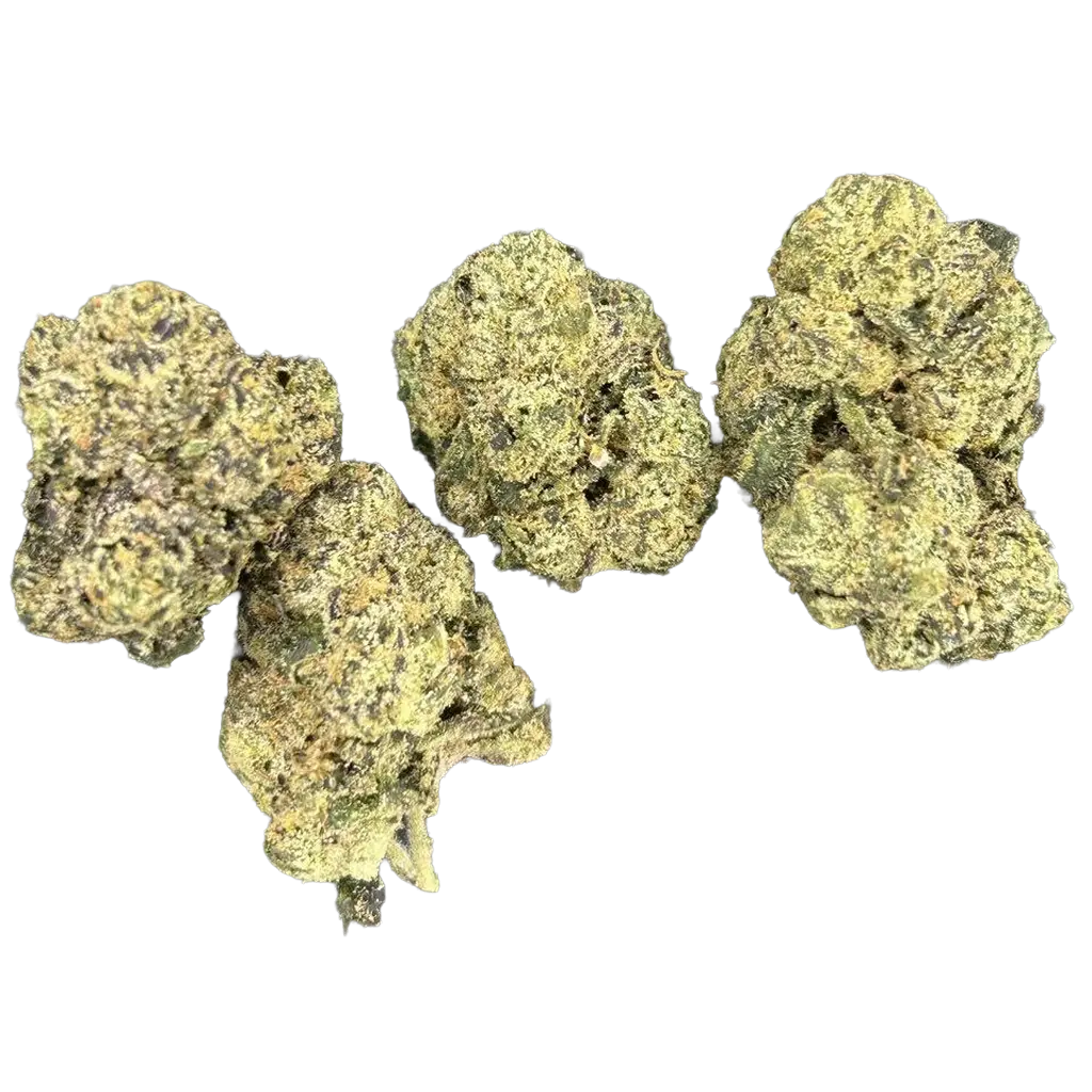 Gumbo Cake THCa Flower featuring dense frosty purple and green buds with sweet vanilla cake aroma, creamy gas terpenes, and heavy trichome coverage.