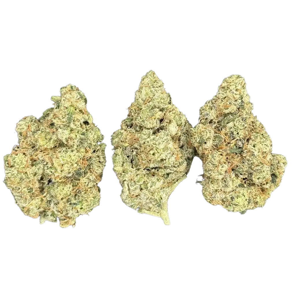 Lemon Scotti THCa Flower featuring dense frosty green and purple buds with fresh lemon aroma, creamy cookie terpenes, and heavy trichome coverage.