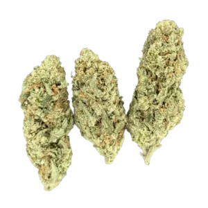 Lilac Diesel THCa Flower