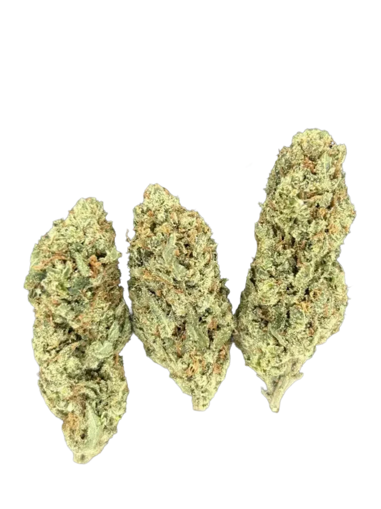 Shop Lilac Diesel THCa Flower with floral lavender, citrus, and diesel terpenes, dense frosty buds, and premium indoor-grown exotic flower.