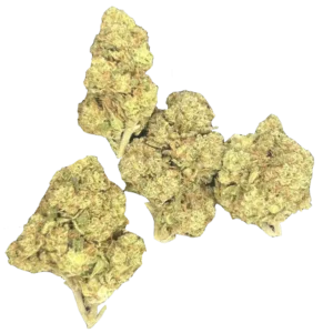 Mega Runtz THCa Flower