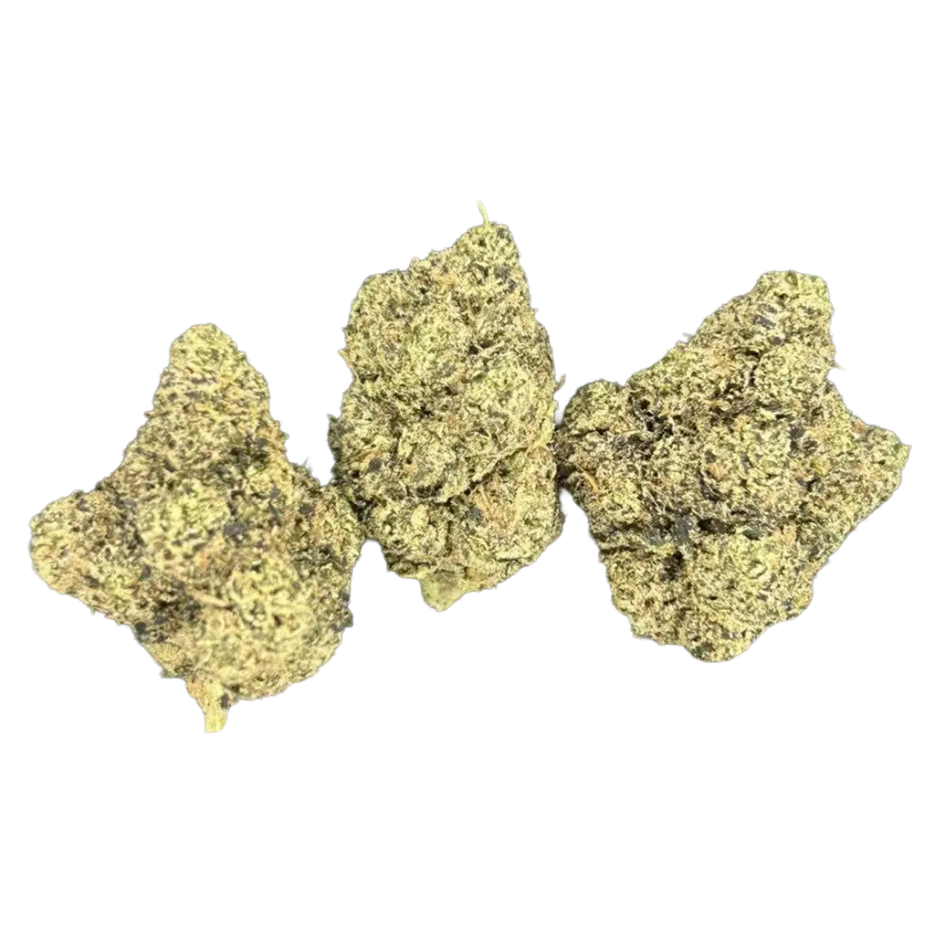 Nuclear Slurpee THCa Flower featuring dense frosty purple and green buds with fruity candy aroma, citrus terpenes, and heavy trichome coverage.